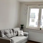 Studio Kotsisa